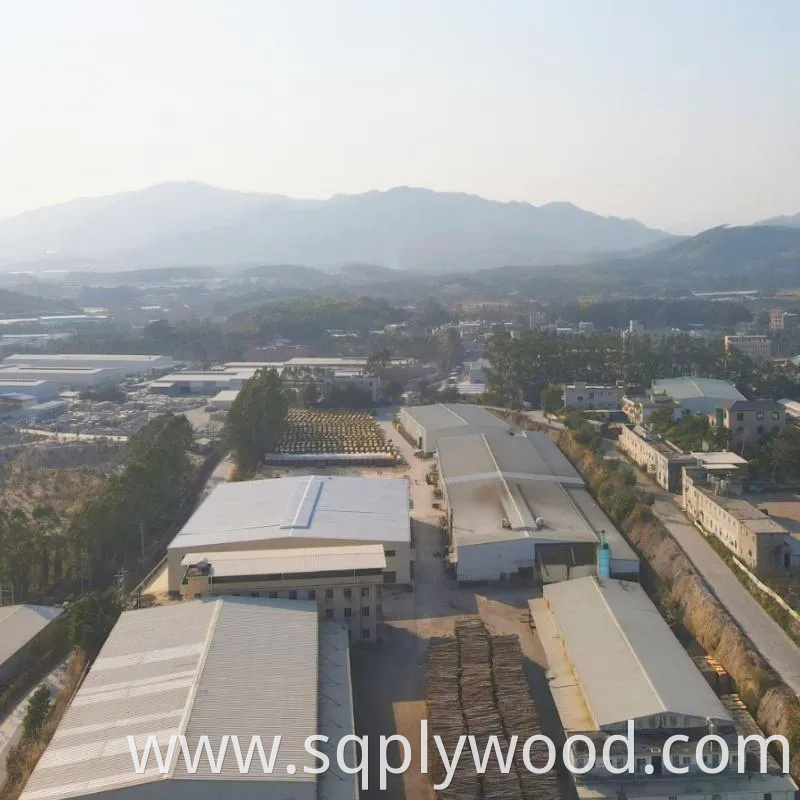 Shuttering/Marine Plywood, Construction Waterproof Film Faced Plywood for Building